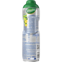 Teisseire Zero Geträngesirup Zuckerfrei Zitrone Limette 600 ml